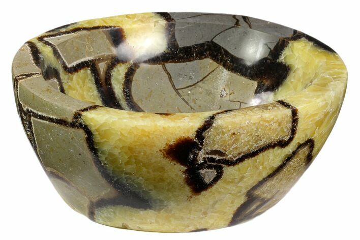 Polished Septarian Bowl - Madagascar #120248